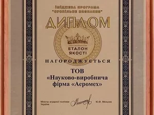 Диплом победителя в номинации «Эталон качества 2006 года»