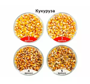 Сепаратор САД для очистки и калибровки кукурузы Сепаратор САД для очистки и калибровки кукурузы