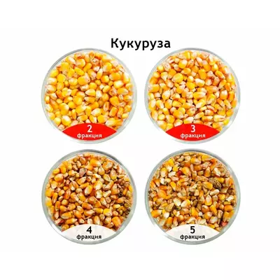 Сепаратор САД для очистки и калибровки кукурузы