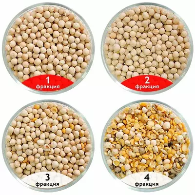 Сепаратор САД для очистки и калибровки гороха